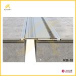 MSF-10